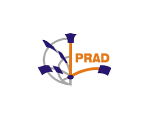 lprad-logo-liis-ufpa